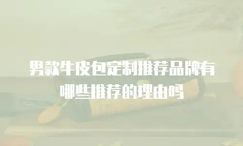 男款牛皮包定制推荐品牌有哪些推荐的理由吗