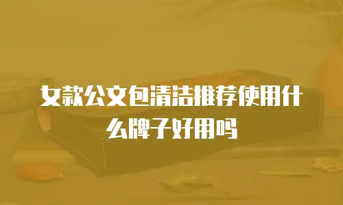女款公文包清洁推荐使用什么牌子好用吗