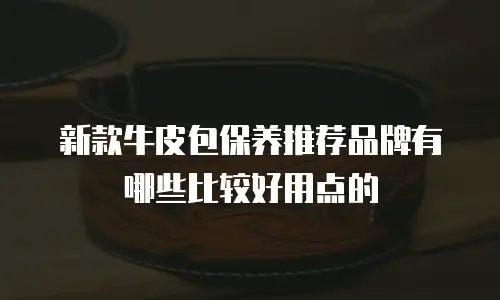 新款牛皮包保养推荐品牌有哪些比较好用点的