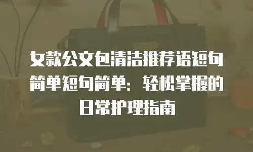 女款公文包清洁推荐语短句简单短句简单：轻松掌握的日常护理指南