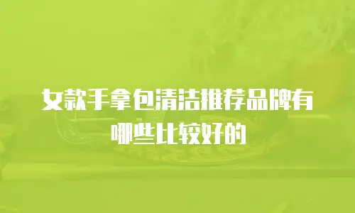 女款手拿包清洁推荐品牌有哪些比较好的