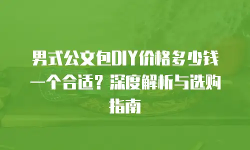 男式公文包DIY价格多少钱一个合适？深度解析与选购指南
