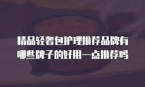 精品轻奢包护理推荐品牌有哪些牌子的好用一点推荐吗