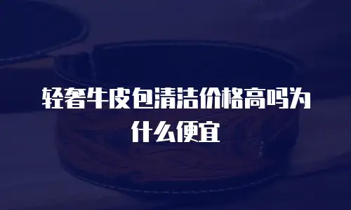 轻奢牛皮包清洁价格高吗为什么便宜