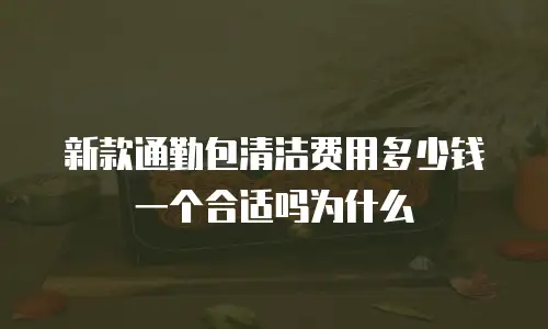 新款通勤包清洁费用多少钱一个合适吗为什么