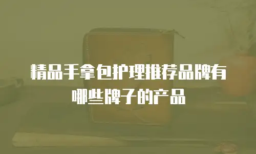 精品手拿包护理推荐品牌有哪些牌子的产品