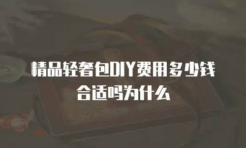 精品轻奢包DIY费用多少钱合适吗为什么