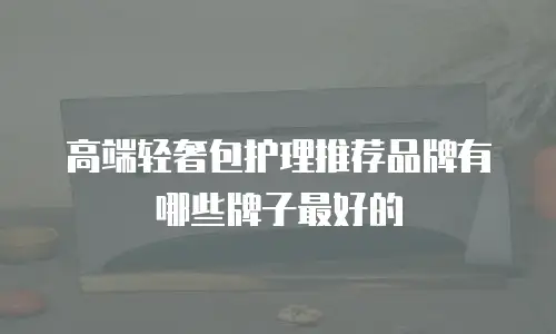 高端轻奢包护理推荐品牌有哪些牌子最好的