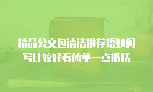 精品公文包清洁推荐语如何写比较好看简单一点概括
