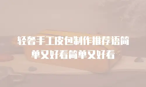 轻奢手工皮包制作推荐语简单又好看简单又好看