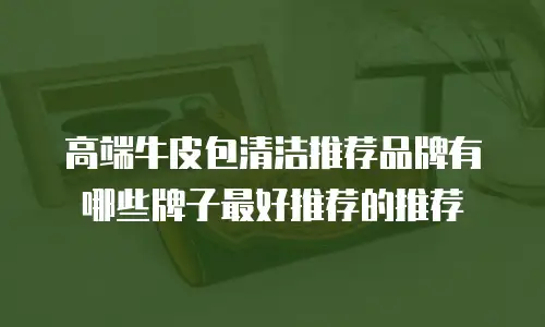 高端牛皮包清洁推荐品牌有哪些牌子最好推荐的推荐