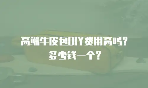 高端牛皮包DIY费用高吗？多少钱一个？