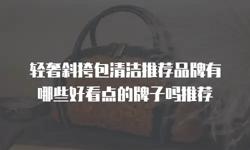 轻奢斜挎包清洁推荐品牌有哪些好看点的牌子吗推荐