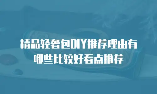 精品轻奢包DIY推荐理由有哪些比较好看点推荐