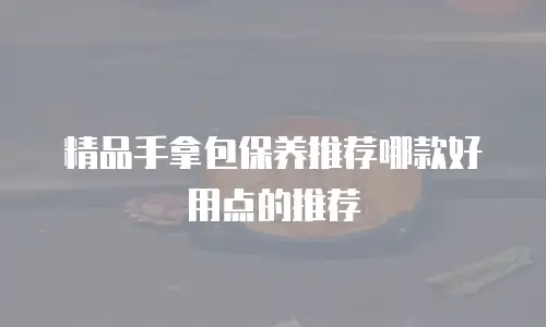 精品手拿包保养推荐哪款好用点的推荐