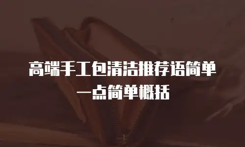 高端手工包清洁推荐语简单一点简单概括