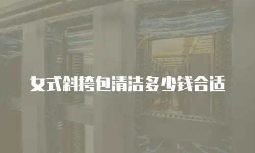 女式斜挎包清洁多少钱合适