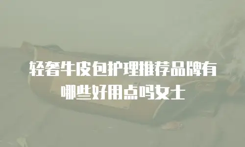 轻奢牛皮包护理推荐品牌有哪些好用点吗女士