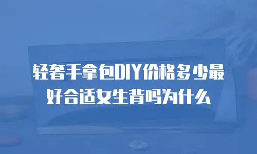 轻奢手拿包DIY价格多少最好合适女生背吗为什么