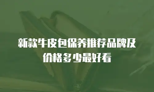 新款牛皮包保养推荐品牌及价格多少最好看