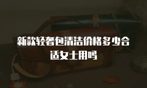 新款轻奢包清洁价格多少合适女士用吗