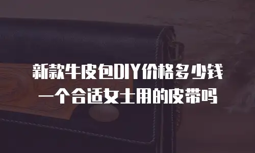 新款牛皮包DIY价格多少钱一个合适女士用的皮带吗