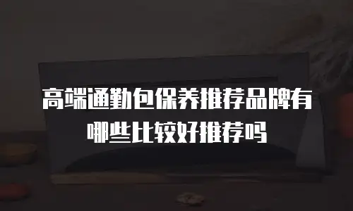 高端通勤包保养推荐品牌有哪些比较好推荐吗