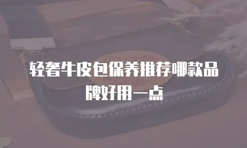 轻奢牛皮包保养推荐哪款品牌好用一点