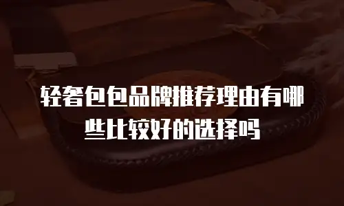 轻奢包包品牌推荐理由有哪些比较好的选择吗