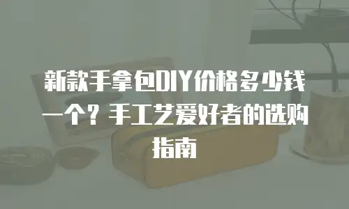 新款手拿包DIY价格多少钱一个？手工艺爱好者的选购指南