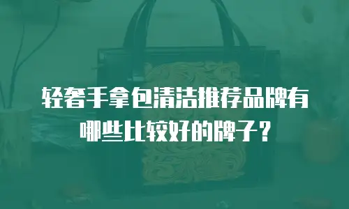 轻奢手拿包清洁推荐品牌有哪些比较好的牌子？