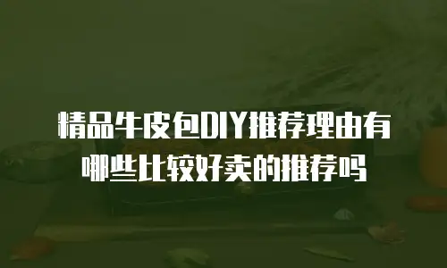 精品牛皮包DIY推荐理由有哪些比较好卖的推荐吗
