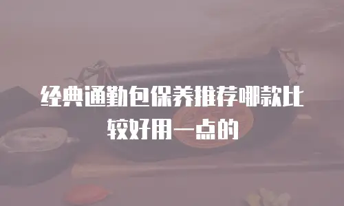 经典通勤包保养推荐哪款比较好用一点的
