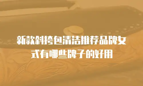 新款斜挎包清洁推荐品牌女式有哪些牌子的好用