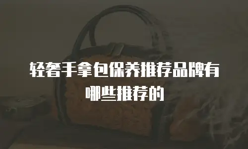 轻奢手拿包保养推荐品牌有哪些推荐的