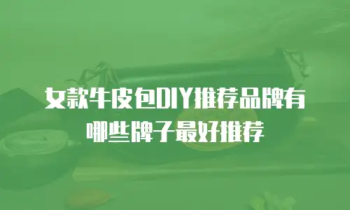 女款牛皮包DIY推荐品牌有哪些牌子最好推荐