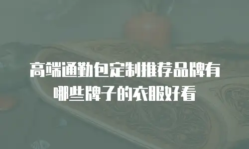 高端通勤包定制推荐品牌有哪些牌子的衣服好看
