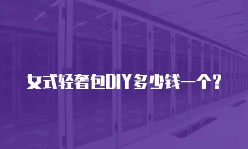 女式轻奢包DIY多少钱一个？