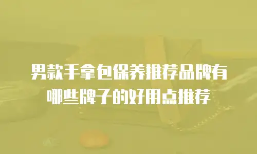 男款手拿包保养推荐品牌有哪些牌子的好用点推荐