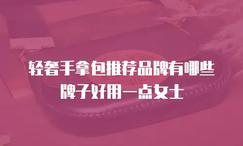 轻奢手拿包推荐品牌有哪些牌子好用一点女士