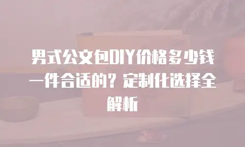 男式公文包DIY价格多少钱一件合适的？定制化选择全解析