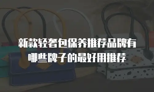 新款轻奢包保养推荐品牌有哪些牌子的最好用推荐