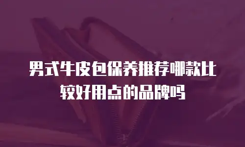男式牛皮包保养推荐哪款比较好用点的品牌吗