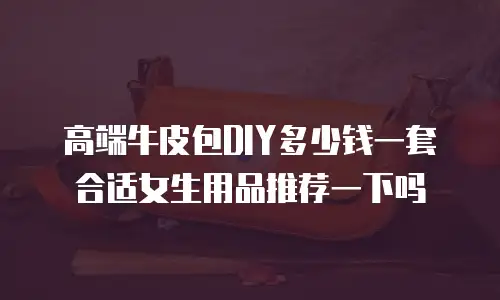 高端牛皮包DIY多少钱一套合适女生用品推荐一下吗
