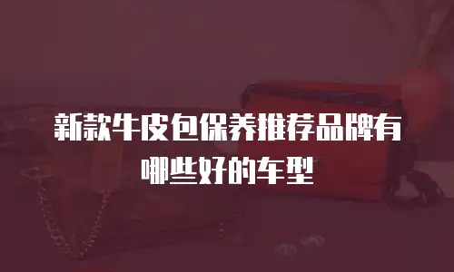 新款牛皮包保养推荐品牌有哪些好的车型