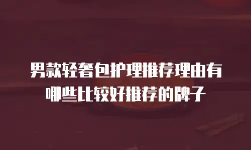 男款轻奢包护理推荐理由有哪些比较好推荐的牌子