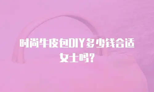 时尚牛皮包DIY多少钱合适女士吗？