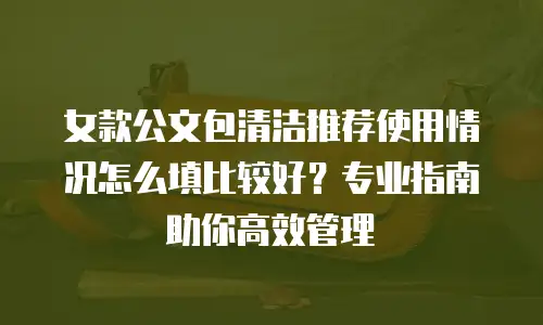 女款公文包清洁推荐使用情况怎么填比较好？专业指南助你高效管理