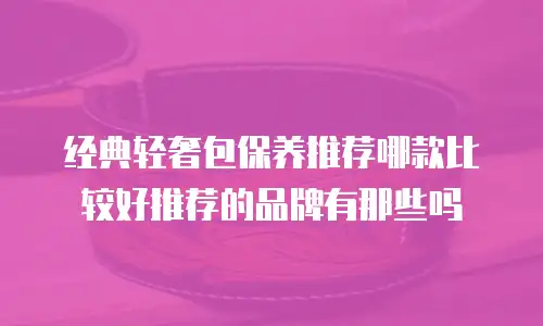 经典轻奢包保养推荐哪款比较好推荐的品牌有那些吗