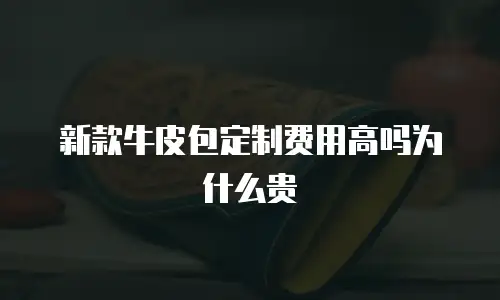 新款牛皮包定制费用高吗为什么贵